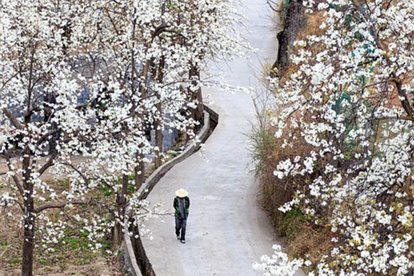 去川西旅游成都包車價(jià)格